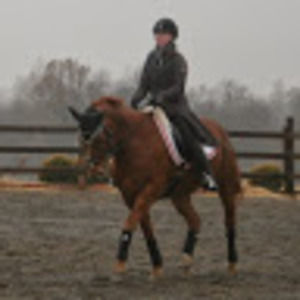 Meet your Posher, Alexa